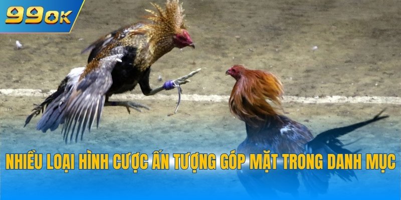 Nhiều loại hình giải trí ấn tượng góp mặt trong danh mục